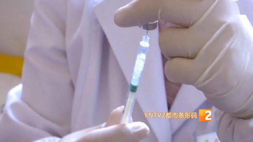 新到6万支疫苗 昆明新增4个临时接种点 打了上针没下针 国家卫健委要求来了